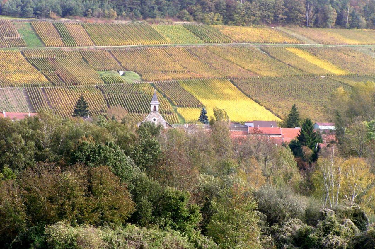 Un Coin De Foret Courmas Buitenkant foto